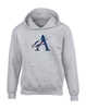 Picture of Armbrae Academy Hoodie Unisex Youth